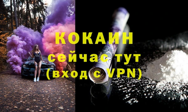 стаф Богородицк