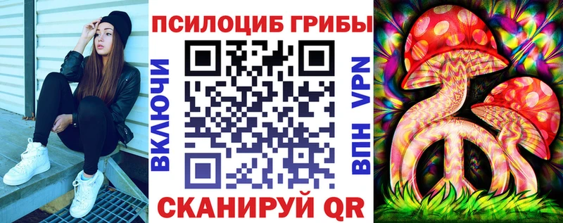 МЕГА вход Бирюсинск дарк нет состав Псилоцибиновые грибы Cubensis