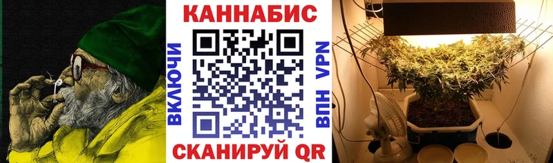 МАРИХУАНА сатива Бирюсинск